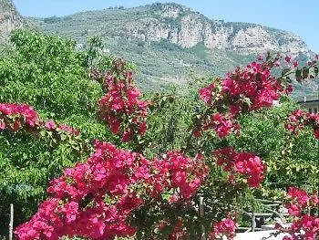 B&B Casa Sorrentino 5*