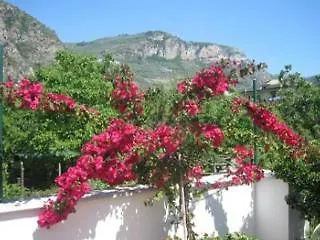 B&B Casa Sorrentino